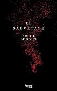 Bruce Begout - Le sauvetage