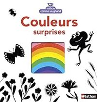 Frederic Maupome - Couleurs surprises