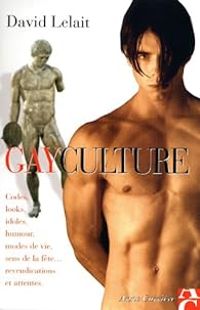 David Lelait Helo - Gayculture