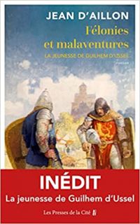 Couverture du livre Félonies et malaventures - Jean D Aillon