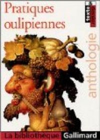 Couverture du livre Pratiques oulipiennes - Dominique Moncondhuy