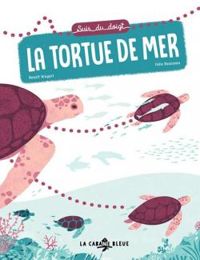 Benoit Broyart - Felix Rousseau Ii - Suis du doigt : La tortue de mer