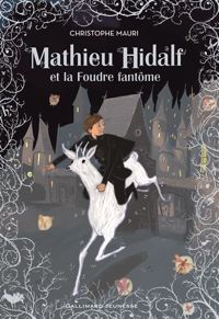 Couverture du livre Mathieu Hidalf, 2  - Christophe Mauri