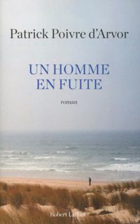 Patrick Poivre D'arvor - Un homme en fuite 