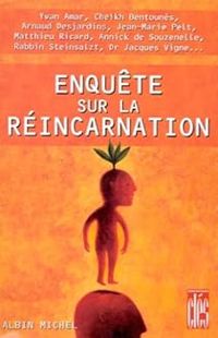 Patrice Van Eersel - Enquête sur la réincarnation