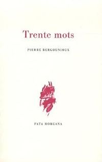 Pierre Bergounioux - Damien Daufresne - Trente mots