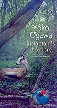 Yoko Ogawa - Instantanés d'Ambre