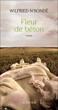 Wilfried N'sondé - Fleur de béton