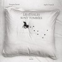 Francois David - Agnes Propeck - Les étoiles sont tombées