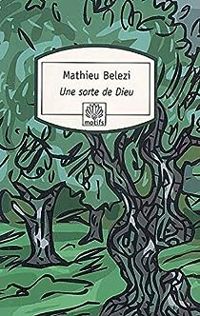 Couverture du livre Une sorte de Dieu - Mathieu Belezi