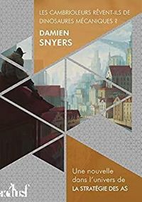 Damien Snyers - Les cambrioleurs rêvent