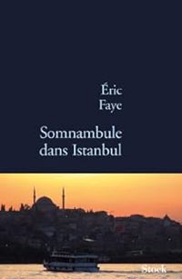 Ric Faye - Somnambule dans Istanbul