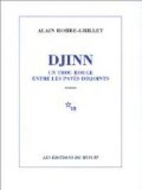 Couverture du livre Djinn : Un trou rouge entre les pavés disjoints - Alain Robbe Grillet