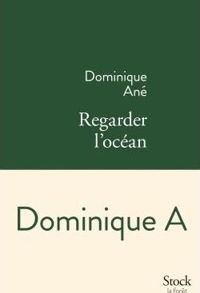 Dominique Ané - Regarder l'océan