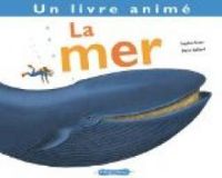 Sophie Amen - Remi Saillard - Un livre animé : La mer