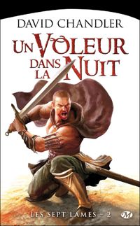 David Chandler - Un voleur dans la nuit