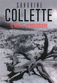 Couverture du livre Il reste la poussière - Sandrine Collette