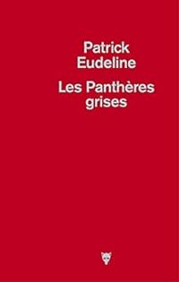 Patrick Eudeline - Les panthères grises