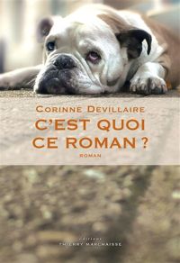 Couverture du livre C'est quoi ce roman ? - Corinne Devillaire