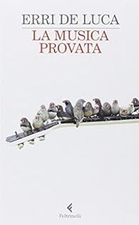 Couverture du livre La musica provata - Erri De Luca