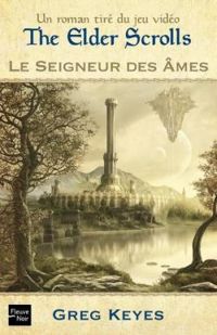 Greg Keyes - Le seigneur des âmes