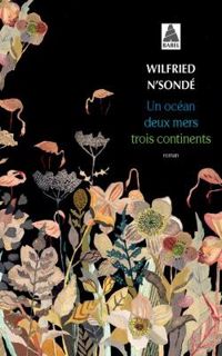 Wilfried Nsonde - Un océan, deux mers, trois continents