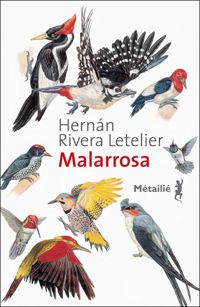 Hernan Rivera Letelier - Malarrosa