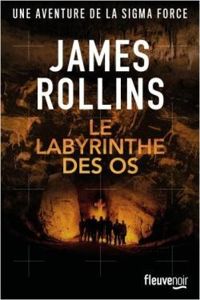 James Clemens - Le labyrinthe des os