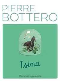 Couverture du livre Tsina - Pierre Bottero