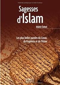 Couverture du livre Sagesses d'Islam - Malek Chebel