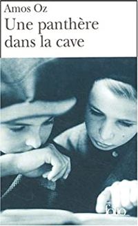 Amos Oz - Une panthère dans la cave