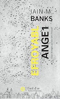 Iain M Banks - Efroyabl ange1