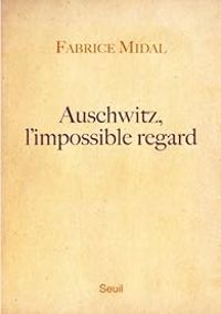 Fabrice Midal - Auschwitz, l'impossible regard