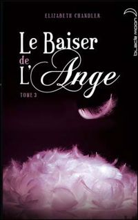 Couverture du livre Ames Soeurs - Elizabeth Chandler