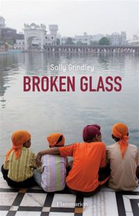 Couverture du livre Broken Glass - Sally Grindley