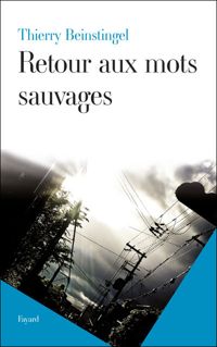 Couverture du livre Retour aux mots sauvages - Thierry Beinstingel