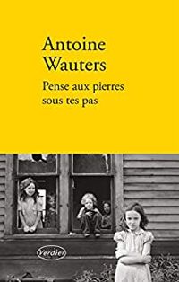 Antoine Wauters - Pense aux pierres sous tes pas