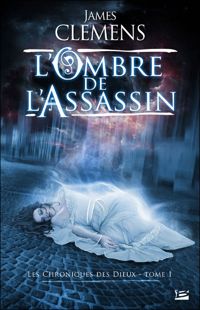 Couverture du livre L'Ombre de l'assasin - James Clemens