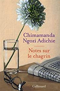 Chimamanda Ngozi Adichie - Notes sur le chagrin