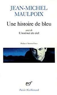 Couverture du livre Une histoire de bleu/L'instinct de ciel - Jean Michel Maulpoix