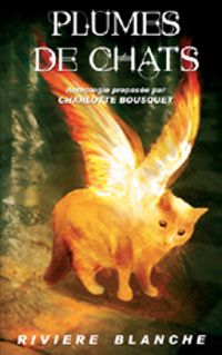 Charlotte Bousquet - Plumes de chats