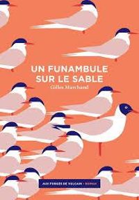 Couverture du livre Un funambule sur le sable - Gilles Marchand