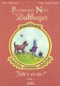 Couverture du livre Promenons-nous avec Balthazar : Yéti y es-tu ? - Marie Helene Place