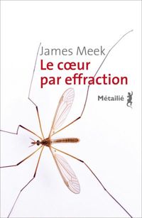 James Meek - Le Coeur par effraction