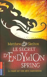 Couverture du livre SECRET D'ENDYMION SPRING - Matthew Skelton