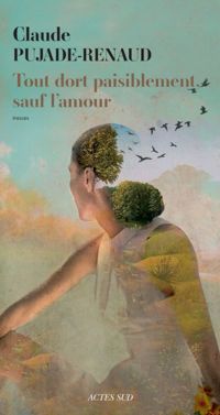 Couverture du livre Tout dort paisiblement, sauf l'amour - Claude Pujade Renaud