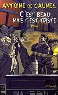 Couverture du livre C'est beau mais c'est triste - Antoine De Caunes