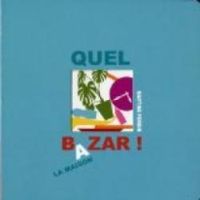 Martine Perrin - Quel bazar ! La maison