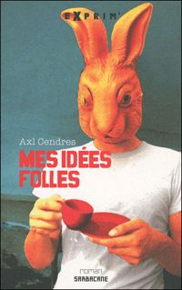 Couverture du livre Mes idées folles - Axl Cendres