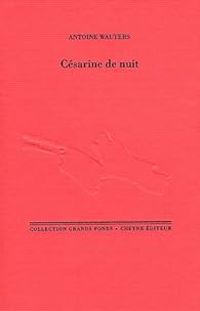 Couverture du livre Césarine de nuit - Antoine Wauters